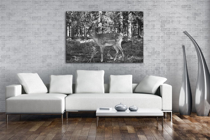 deyoli Bezaubernder Hirsch im Wald Effekt: Schwarz/Weiss im Format: 80x60 als Leinwandbild, Motiv fe
