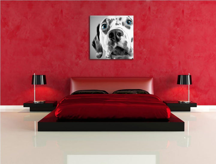 Pixxprint aufmerksamer Dalmatiner als Leinwandbild/Grösse: 70x70 cm/Wandbild/Kunstdruck/fertig bespa
