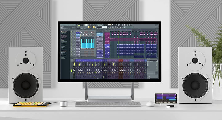 Image Line FL Studio 20 Producer Edition Single, Single