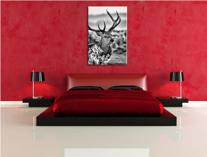 Pixxprint Stolzer Hirsch auf Wiese als Leinwandbild/Grösse: 100x70 cm/Wandbild/Kunstdruck/fertig bes