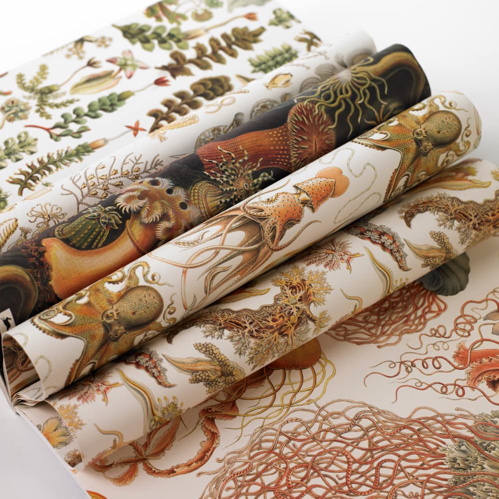 Art Forms in Nature: Gift & Creative Paper Book Vol. 83 (Gift & creative papers, 83), Taschenbuch