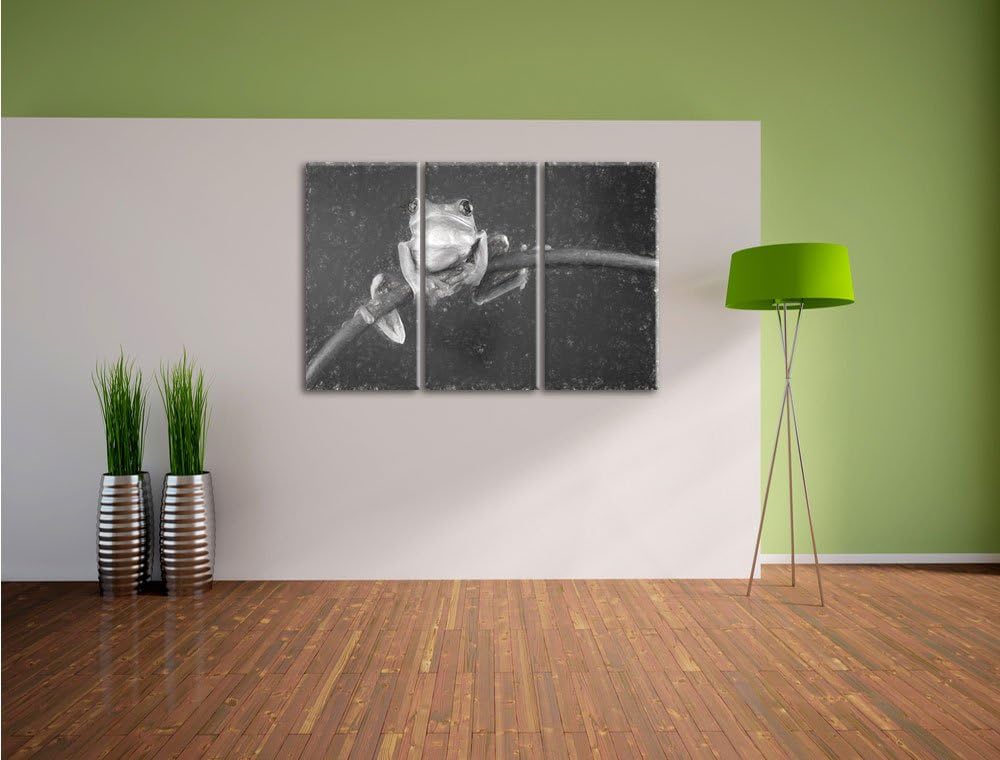 Pixxprint Baum-Frosch auf Bambus Kunst / 3-Teilig/Gesamtmass 120cm Leinwandbild bespannt auf Holzrah