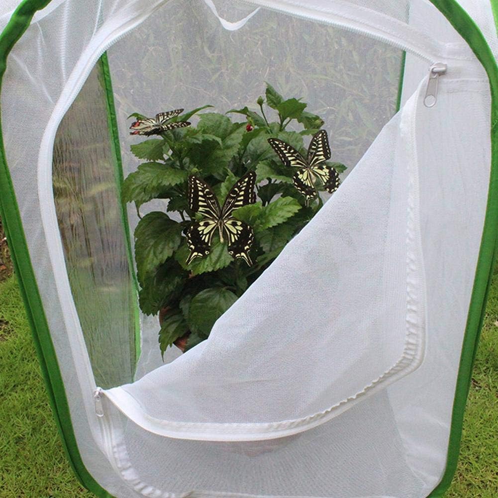 Grosser Schmetterlingskäfig, zusammenklappbarer Caterpillar Habitat Collapsible und Butterfly Habita
