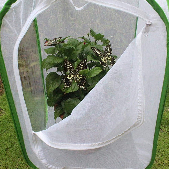 Grosser Schmetterlingskäfig, zusammenklappbarer Caterpillar Habitat Collapsible und Butterfly Habita