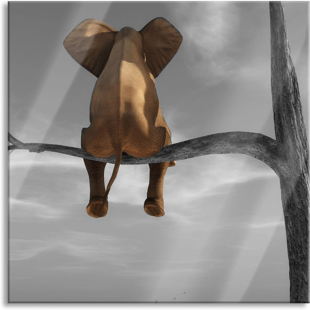 Pixxprint Glasbild | Wandbild auf Echtglas | Elefant auf einem Ast in der Wüste | 80x80 cm | inkl. A