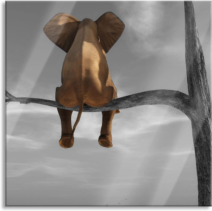 Pixxprint Glasbild | Wandbild auf Echtglas | Elefant auf einem Ast in der Wüste | 50x50 cm | inkl. A