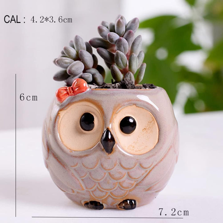 Happyyami 6st Kleine Pflanzent? Luftpflanzenbehälter Eule Blumentopf ?enpflanzer T? Gro? Eule Pflanz
