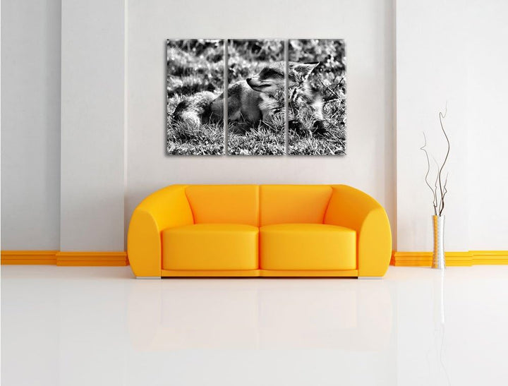 Pixxprint Kleiner Fuchs auf Wiese als Leinwandbild/Grösse: 3 Teilig (120x80) / Wandbild/Kunstdruck/f