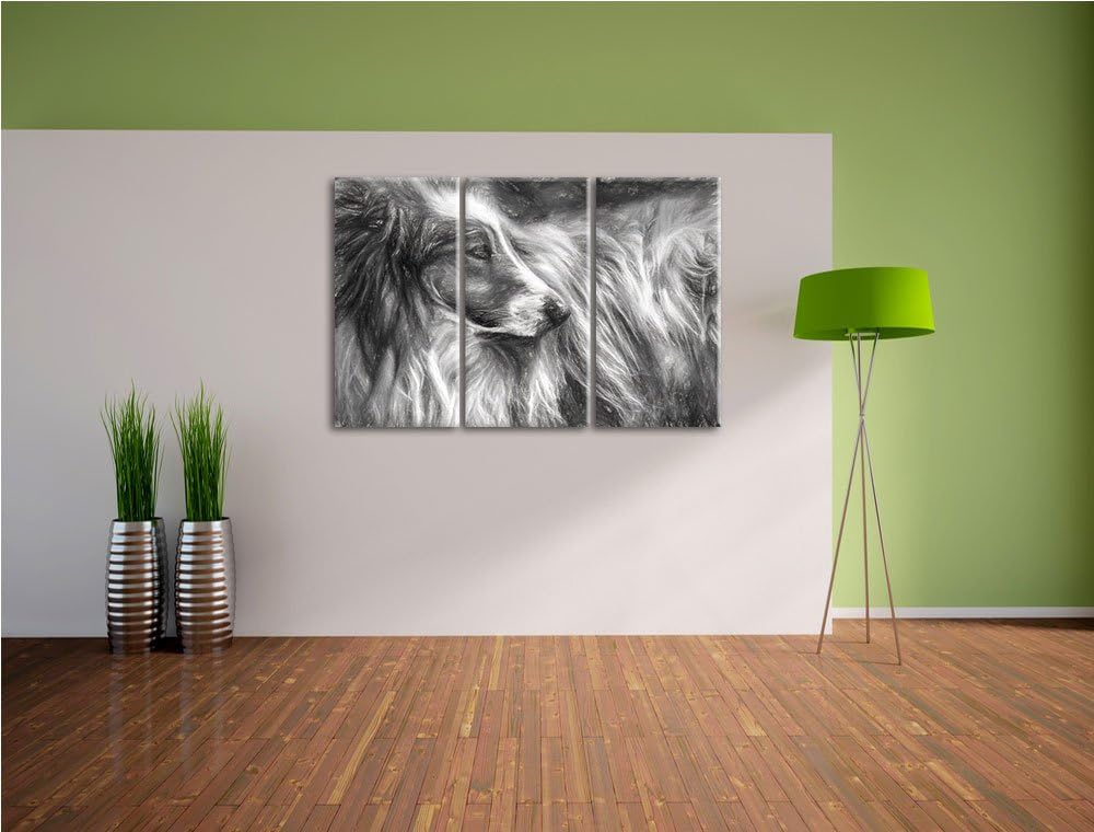 schöner Collie im Seitenprofil NewArt 3-Teiler Leinwandbild 120x80 Bild auf Leinwand, XXL riesige Bi
