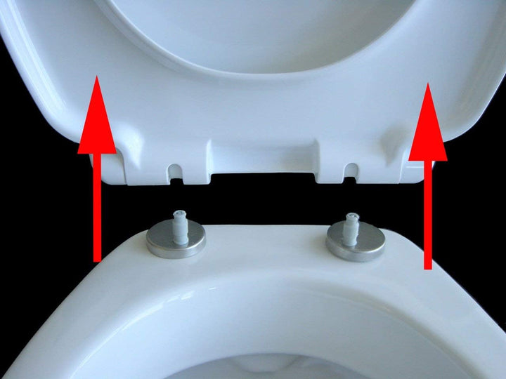 ADOB Klodeckel mit Motiv (Käfer) – WC Sitz Absenkautomatik – Toilettendeckel abnehmbar – Hochwertige
