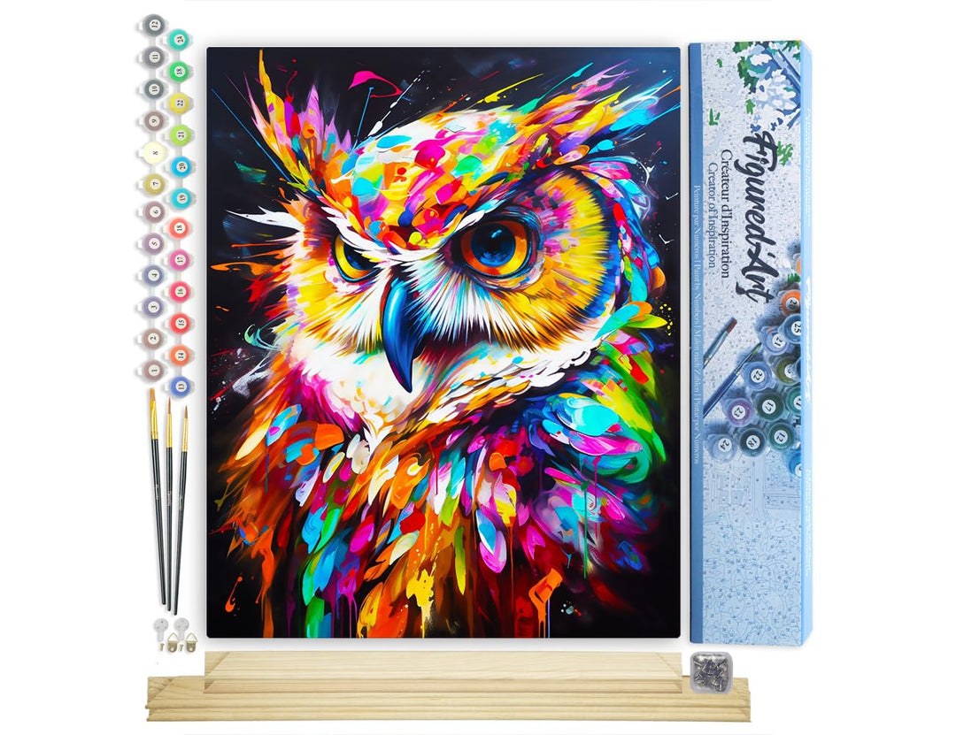 Figured'Art Malen Nach Zahlen Erwachsene Mit Rahmen Eule Farbenfroh Abstrakt - Paint by Numbers Bast