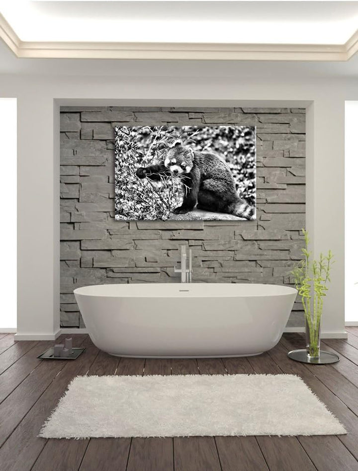 Pixxprint Niedlicher roter Panda als Leinwandbild/Grösse: 100x70 / Wandbild/Kunstdruck/fertig bespan