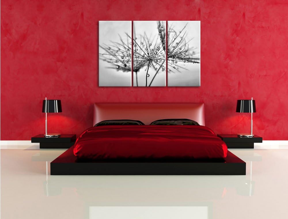 Pixxprint Pusteblume bedeckt mit Tropfen als Leinwandbild/Grösse: 3 Teilig (120x80) cm/Wandbild/Kuns