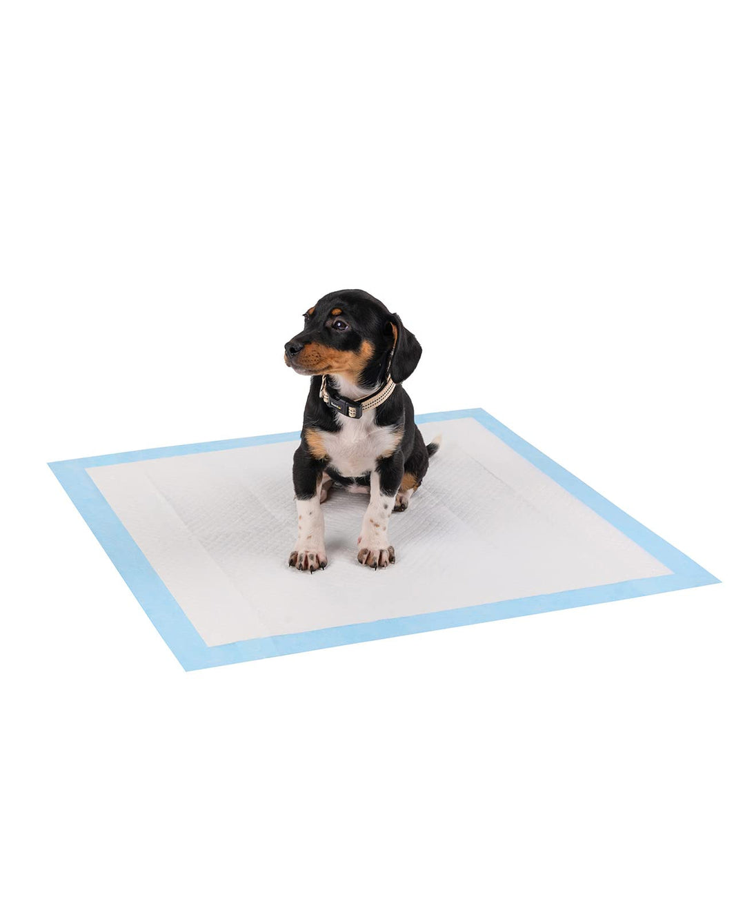 lionto Welpenunterlage Trainingspads Hygieneunterlage für Hunde auslaufsicher 6-lagig, 60x60 cm, 100