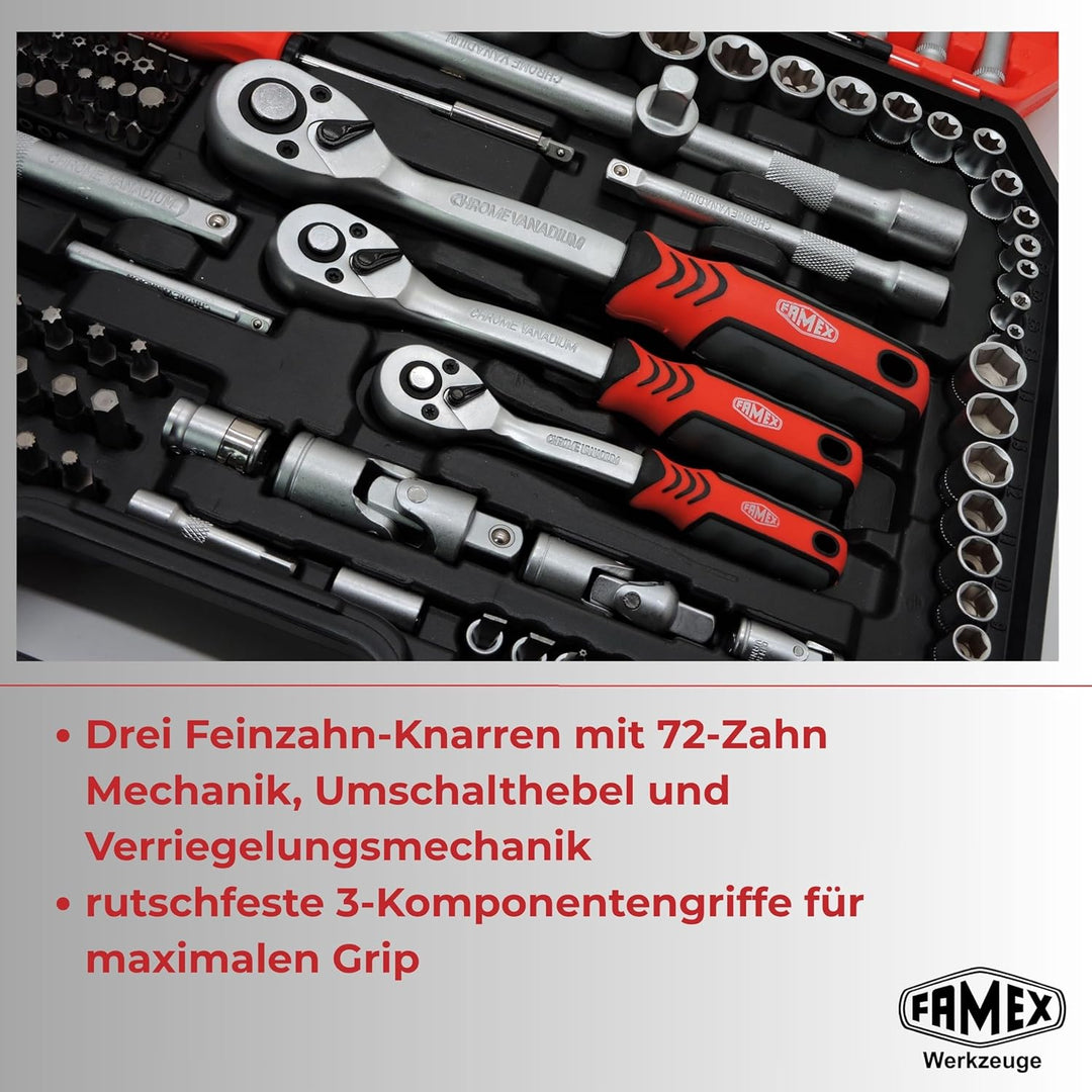FAMEX 555-50 Steckschlüsselsatz 219-tlg. - 1/4 Zoll, 3/8 Zoll, 1/2 Zoll - alle Werkzeuge CV-Stahl -
