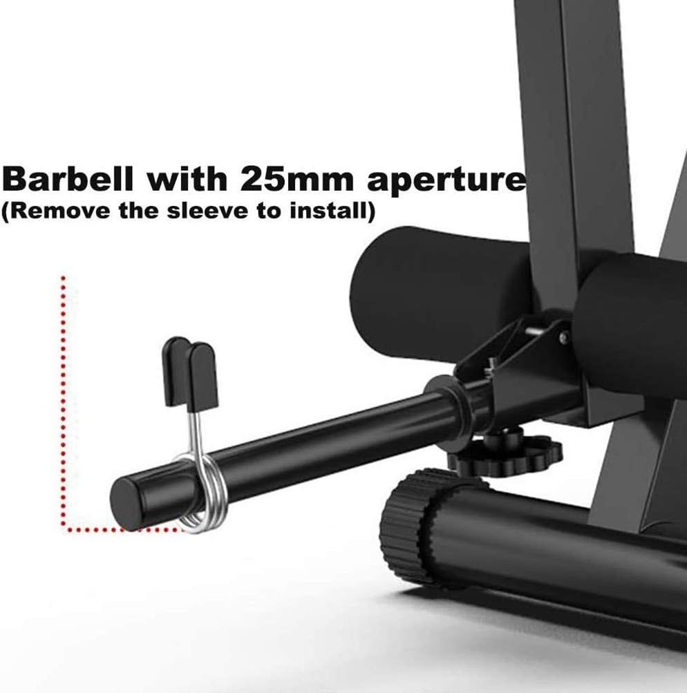 LJBOZ Hantelbank Klappbar, Standard Hantelbänke Verstellbare Hyperextension Roman Chair Trainer Bauc