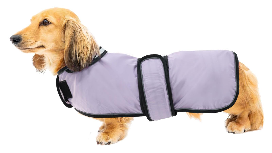 Geyecete Hunde Regenmantel,Einstellbar Wasserdicht Hundejacke für Dackel,Regenmantel mit reflektiere
