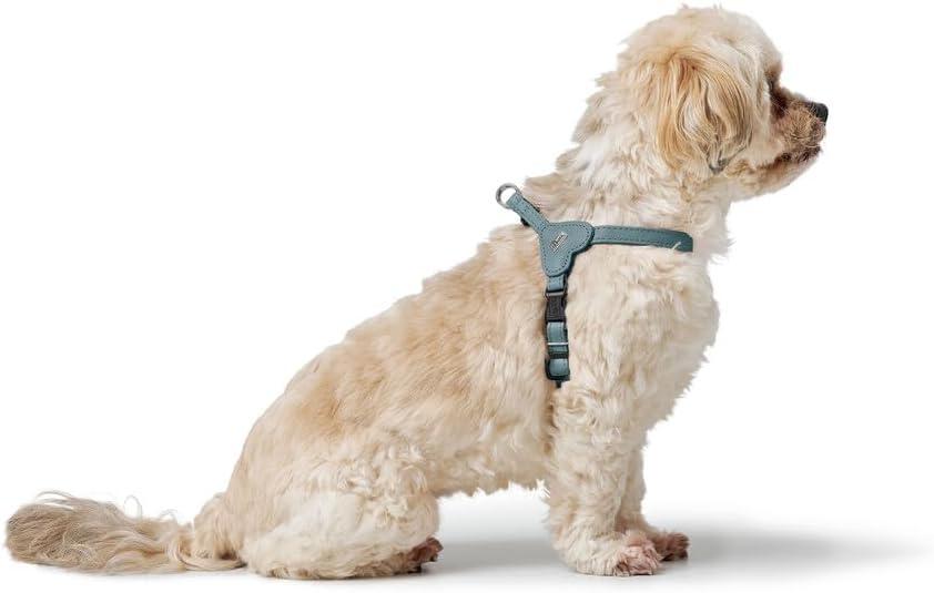 Hunter Hundegeschirr SOHO MINI, Farbe: hellblau, Rindsleder, weich & geschmeidig, fellschonend, leic
