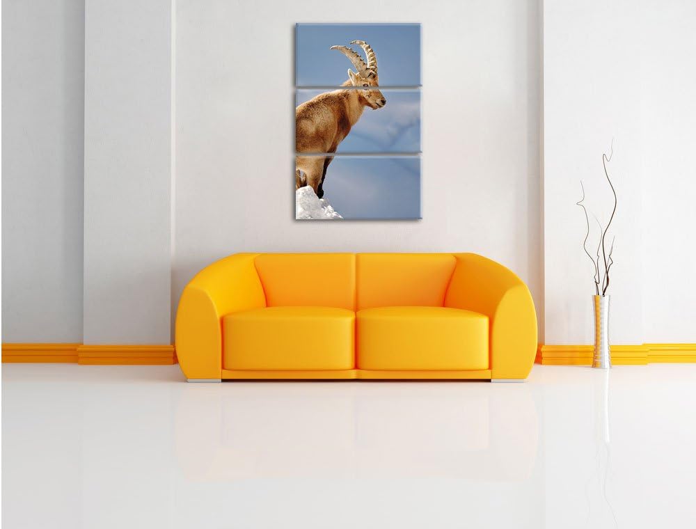 Pixxprint Steinbock im Schnee als Leinwandbild - Grösse: 3-Teilig (120x80cm) - Wandbild - Kunstdruck