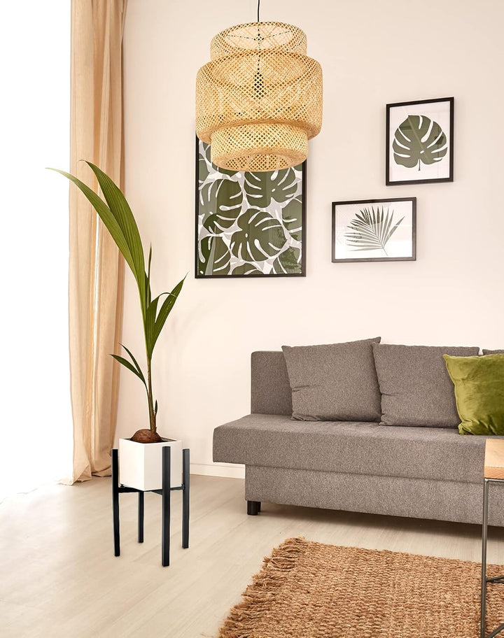 QWORK® PflanzenstäNder, BlumenstäNder Metall, Verstellbare Breite 20–30 cm Für Den Innen Und AussEnb