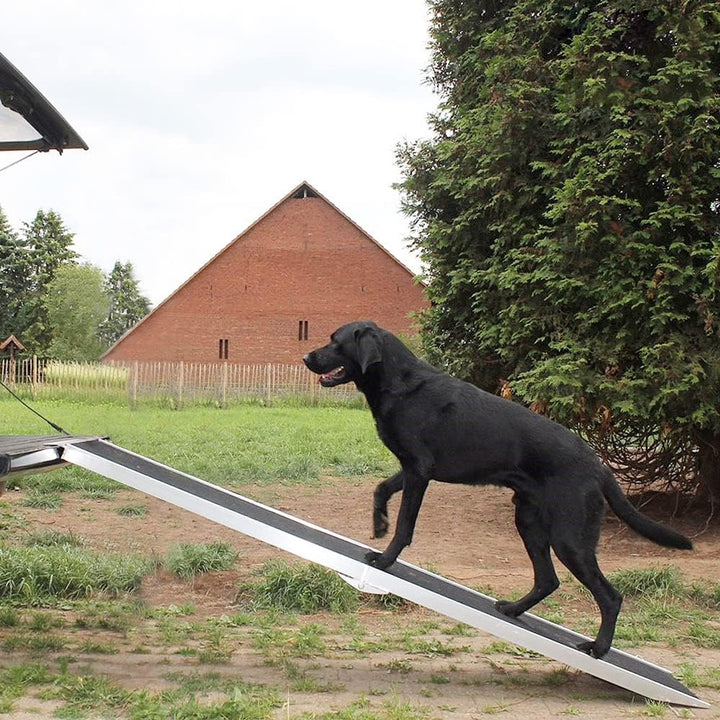 Petigi Hunderampe Hundetreppe Auto Kofferraum Treppen Rampe Einstiegshilfe für Hunde Klappbar Alumin