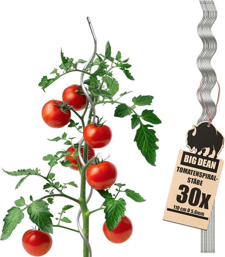 BigDean 30 Tomatenspiralstäbe 110cm voll verzinkt Tomatenstab Tomaten Ranke Pflanzstab Stahl Profi Q