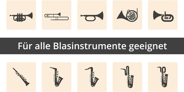 Pronomic IM-10 Bläsermikrofon (Clip-Kondensatormikrofon, für Blasinstrumente, Schwanenhals, inkl. Ph