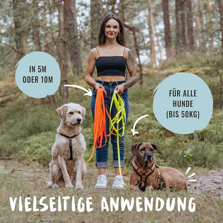 Rudelkönig Schleppleine für Hunde - 5m / 10m - Robuste & wetterfeste Hundeleine für eine erfolgreich