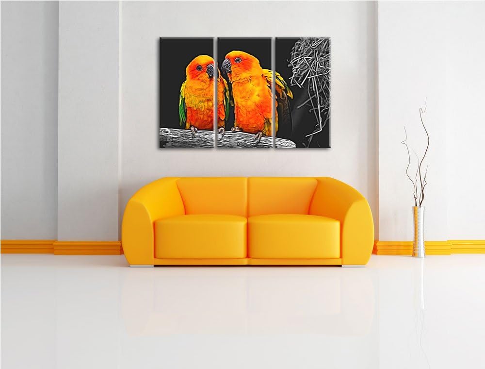 zwei niedliche Sonnensittiche schwarz/weiss Deluxe 3-Teiler Leinwandbild 120x80 Bild auf Leinwand, X