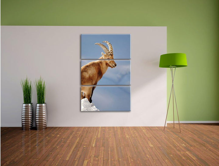 Pixxprint Steinbock im Schnee als Leinwandbild - Grösse: 3-Teilig (120x80cm) - Wandbild - Kunstdruck