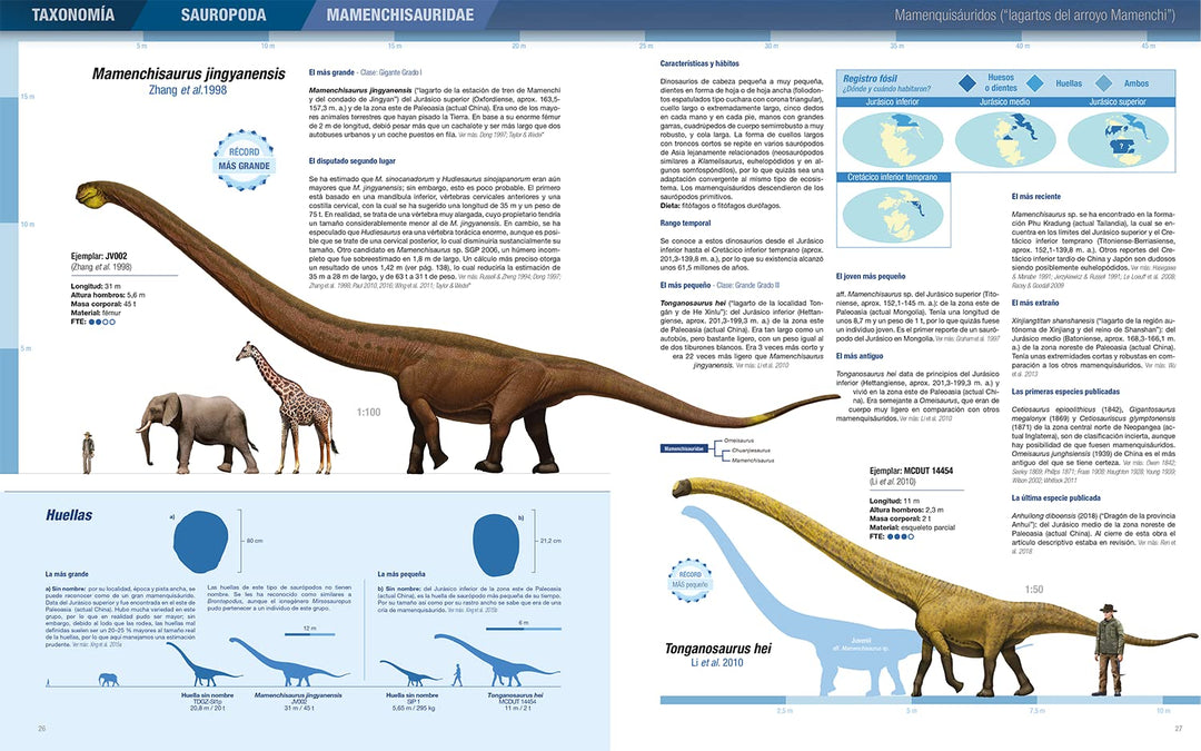 Récords y curiosidades de los dinosaurios: Saurópodos y otros sauropodomorfos, Gebundenes Buch