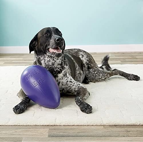 Jolly Pets JOLL051S Hundespielzeug Egg, 30 cm, violett, Purple, Large/X-Large Large / X-Large Purple