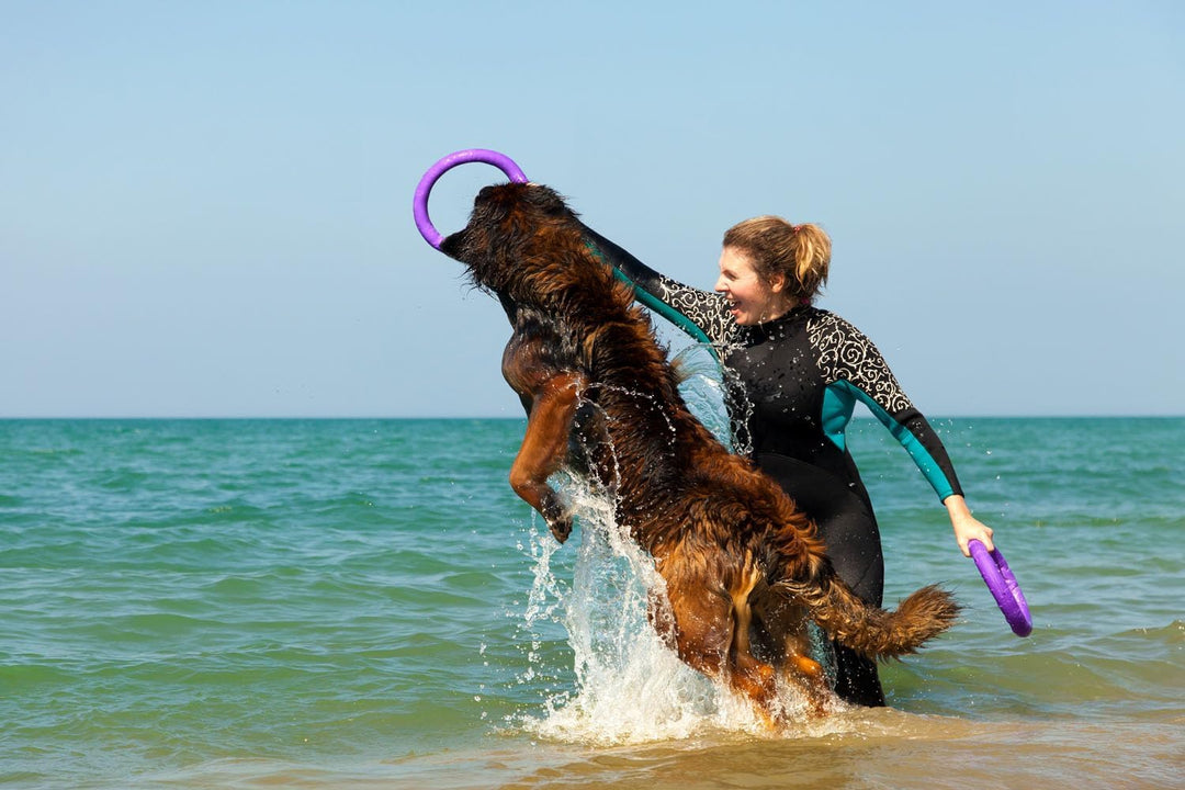 Puller Standard, 2 Stück, Spielringe, Fitnessgerät für Hunde, Interaktives Spielzeug für Hunde,Wasse