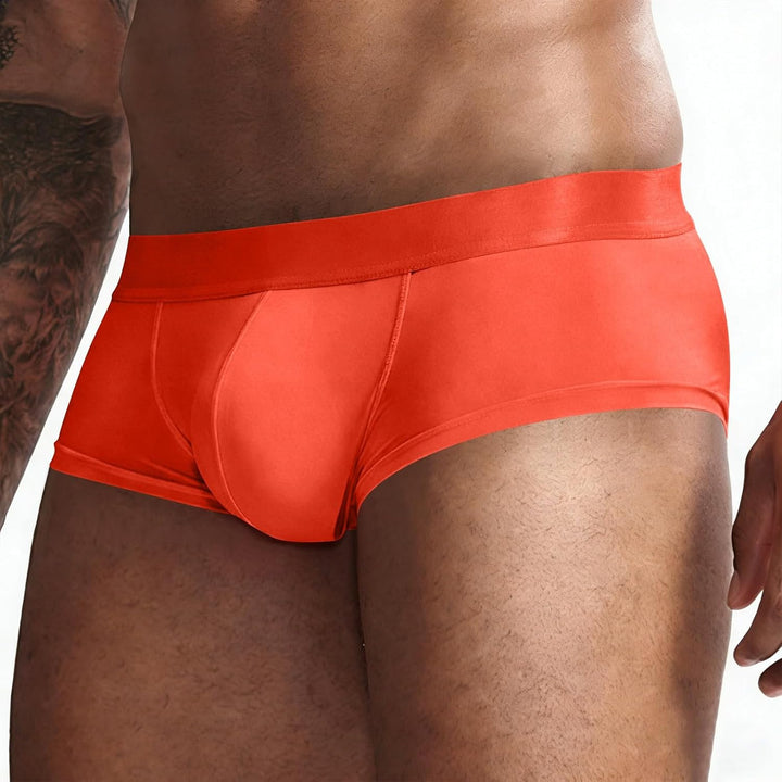 TIMELYE Men's Boxers Super Cosy Men's Boxer Shorts Eisseide Underwear Boxer Shorts Cotton Men's Boxe