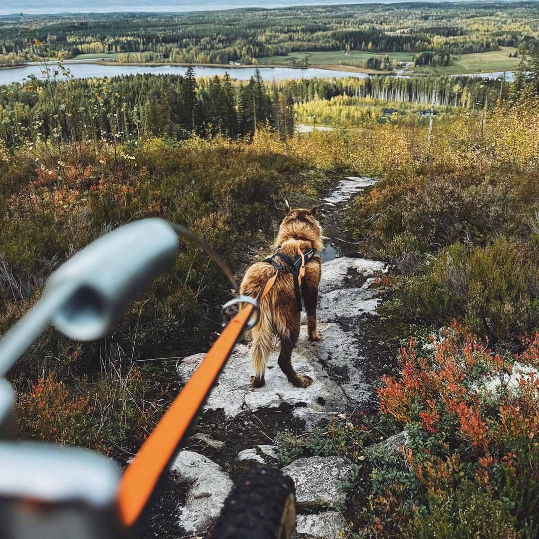 NON-stop dogwear Non-Stop Bike Antenna