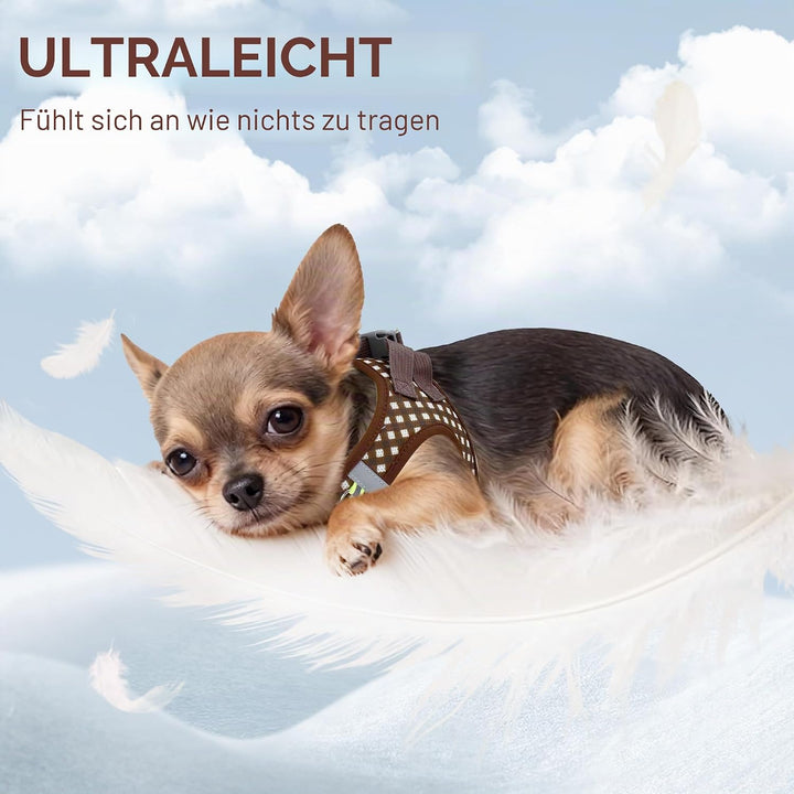 AIITLE Easy Walk Hundeweste, Geschirr und Leine, Set, Haustierbedarf, kein Ziehen, atmungsaktives Ne