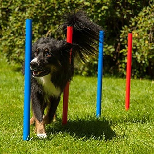 Dog Agility Set K2