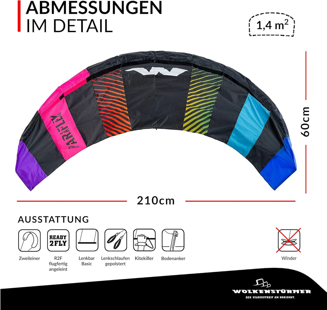 Wolkenstürmer® Paraflex Basic 2-Leiner Lenkmatte 2.1 SE grau - Kite Drachen mit Flugschlaufen – Zwei