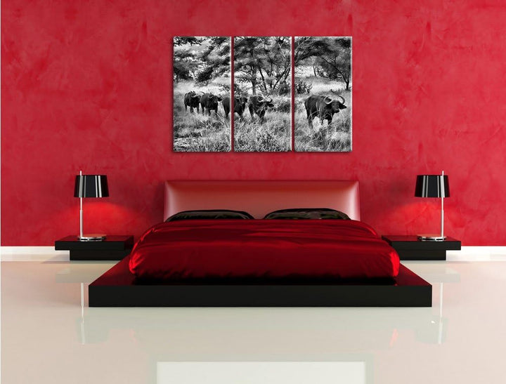 Pixxprint Monocrome, friedliche Kaffernbüffel Herde 3-Teiler Leinwandbild 120x80 Bild auf Leinwand