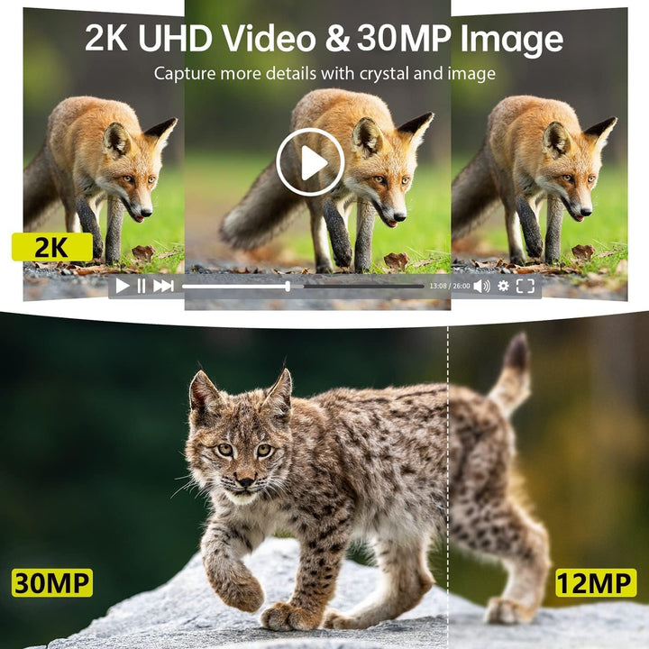 FunKind 4G Solar Wildkamera Handyübertragung App, 30MP 2K Wildtierkamera mit Nachtsicht Bewegungsmel