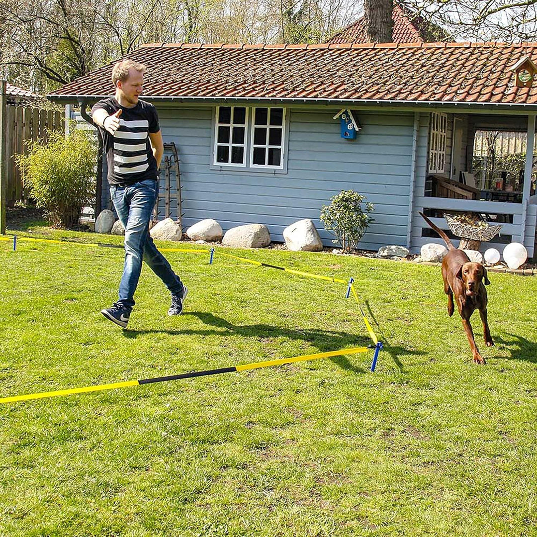Schecker Longier Set für Hunde mit einem Radius von 3-3,5 m stärkt Konzentration Aufmerksamkeit long