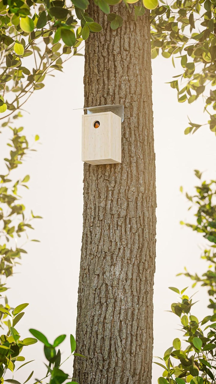 Alberts 355272 Vogelhäuschen Schrägschutzdach | Vogelfutterhaus aus Stahl in verschiedenen Trendfarb