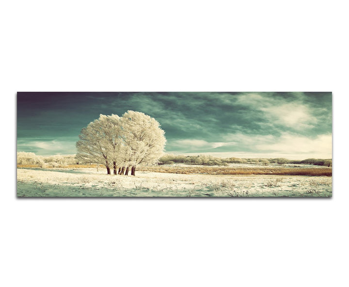 Paul Sinus Art Panoramabild auf Leinwand und Keilrahmen 150x50cm Winterlandschaft Wiese Baum Schnee