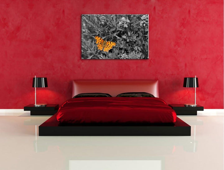 schöner Schmetterling auf Blumenwiese schwarz/weiss auf Leinwand, XXL riesige Bilder fertig gerahmt