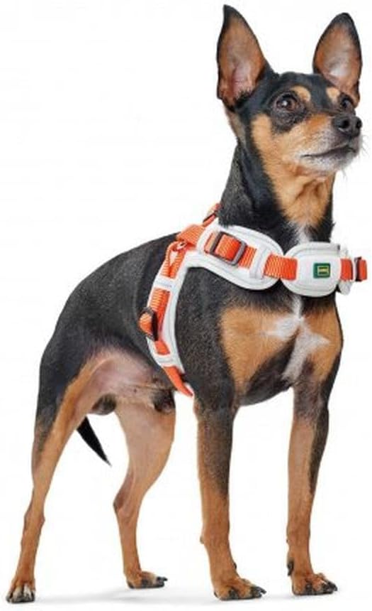 HUNTER Hundegeschirr NEOPREN VARIO QUICK, Farbe: rot/schwarz, hochwertiges Nylon, Neoprenpolsterung,