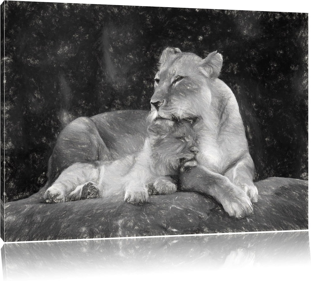 Pixxprint Löwe Löwenjungen / 100x70cm Leinwandbild bespannt auf Holzrahmen/Wandbild Kunstdruck Dekor