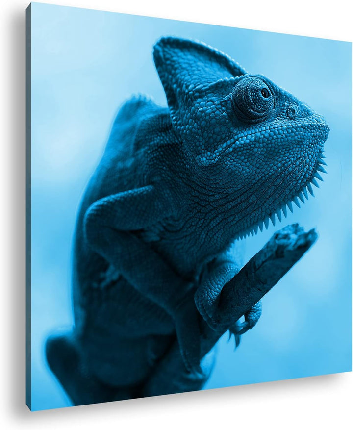 deyoli exotisches Chamäleon Format: 70x70 Effekt: Monocrome Blau als Leinwandbild, Motiv fertig gera