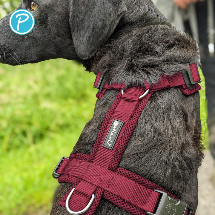 Petlando Hundegeschirr gepolstert, Mesh Y-Comfort, weich, stufenlos verstellbar, besonders leicht &amp;