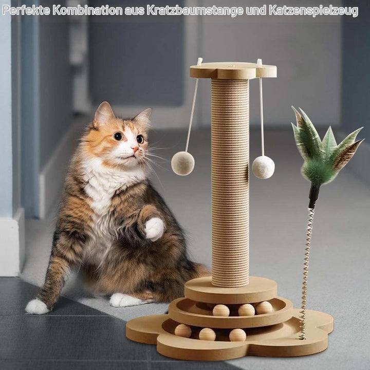 GOMETY 4 in 1 Katzenspielzeug aus Holz Roller 2-lagiger Drehteller Interaktives Katzen Spielzeug höl