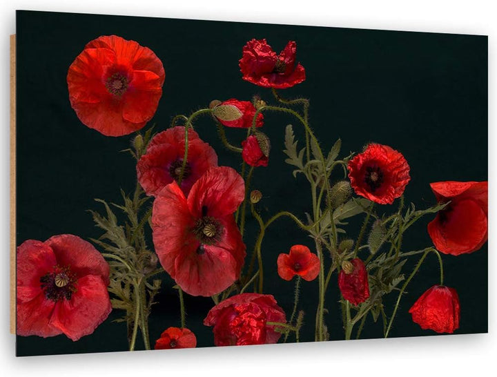Feeby Wanddeko Mohn Bild Kunstdruck modern Pflanzen Rot 80x60 cm Deko Paneel 80x60 cm Rot_B, Deko Pa